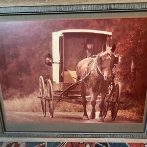 Signed By Photographer Rowan P. Smolcha, Amish Man Driving Horse & Buggy